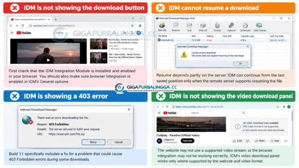 IDM Gigapurablingga COmmon Error solve