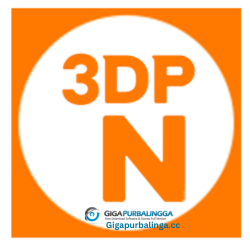 3DP Net