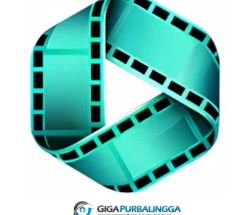 4Videosoft Video Converter
