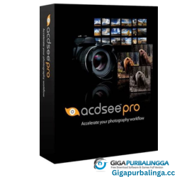 ACDSee Photo Manager