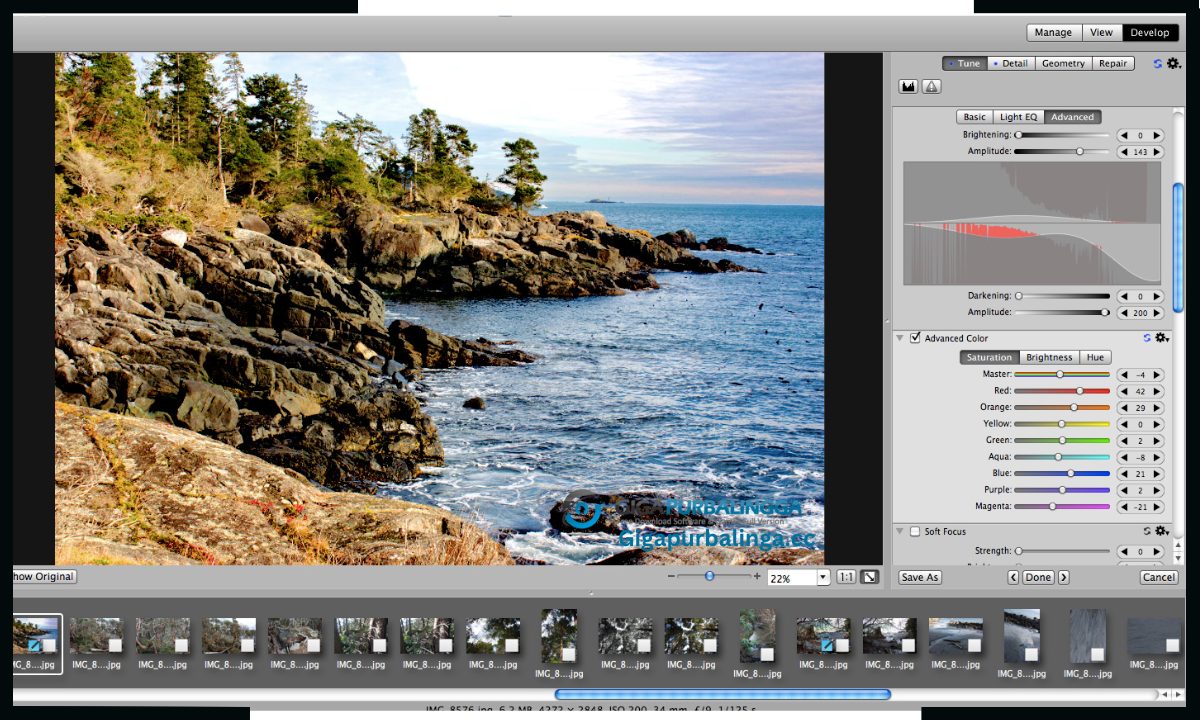 ACDSee Pro Download