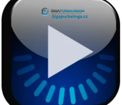 AVS Media Player