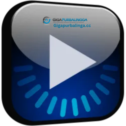 AVS Media Player