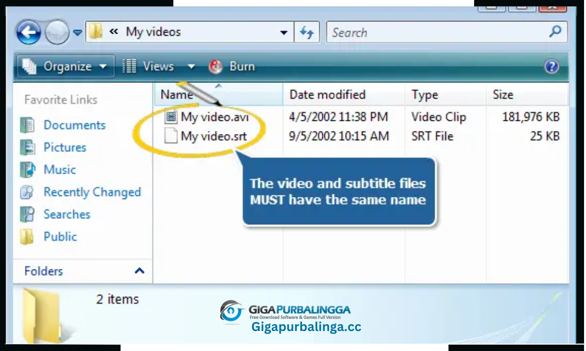 AVS Video Converter download
