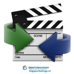 AVS Video Converter