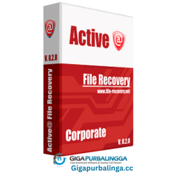 Active File Recovery