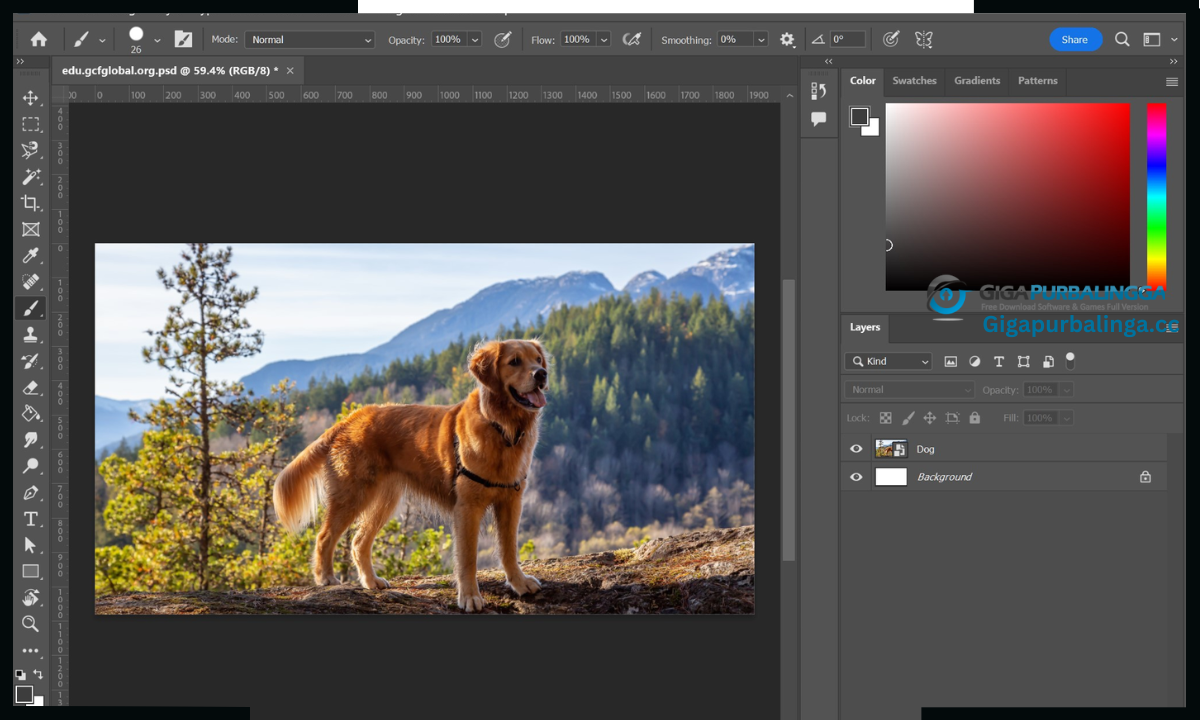 Adobe Photoshop Download