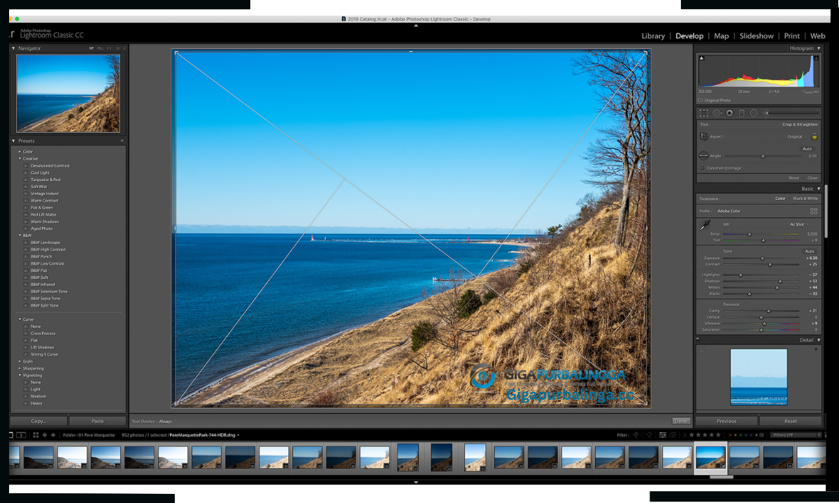 Adobe Photoshop Lightroom Classic Download