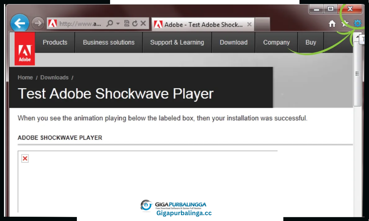 Adobe Shockwave Player Download