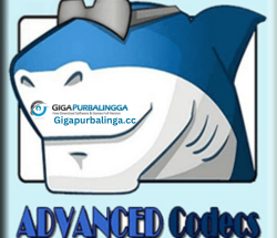 Advanced Codecs