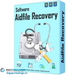 Aidfile Recovery Software Professional