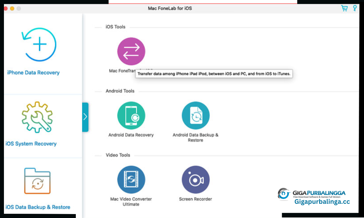 Aiseesoft FoneLab Download