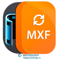 Aiseesoft MXF Converter