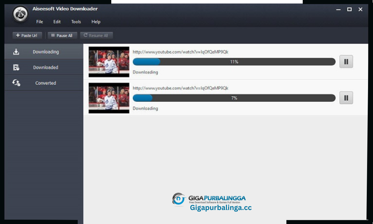 Aiseesoft Video Downloader Download