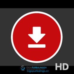 Aiseesoft Video Downloader
