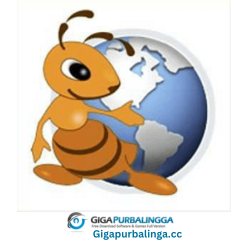 Ant Download Manager