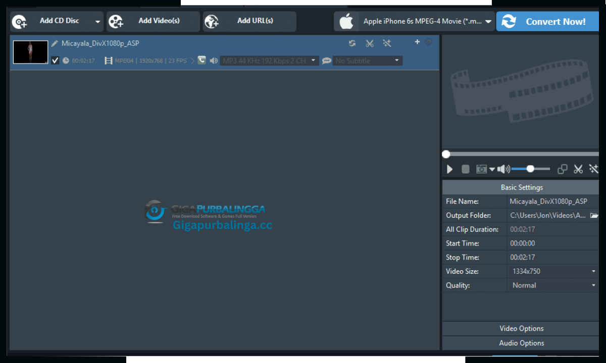 Any Video Converter Download
