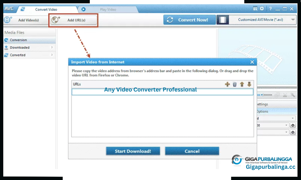 Any Video Converter Professional Download