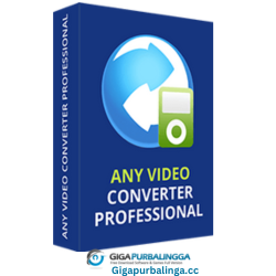 Any Video Converter Professional