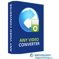 Any Video Converter