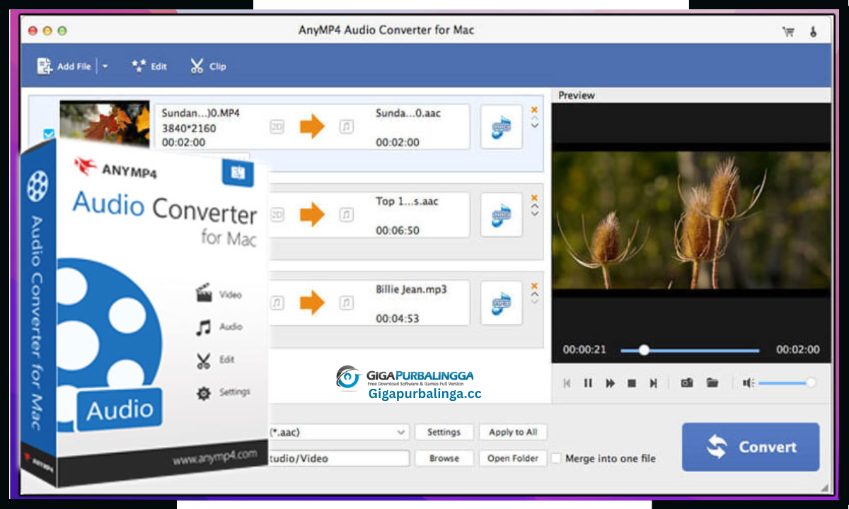AnyMP4 Audio Converter Download
