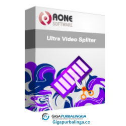 Aone Ultra Video Splitter