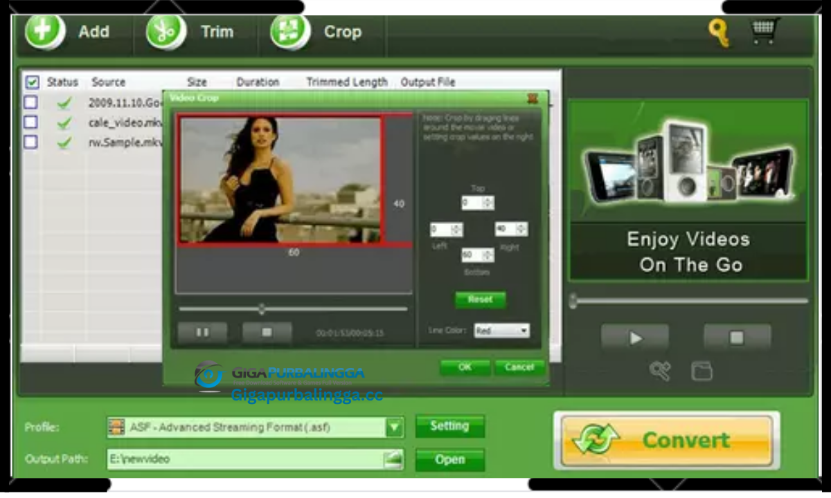 Apowersoft MKV Converter Studio Download