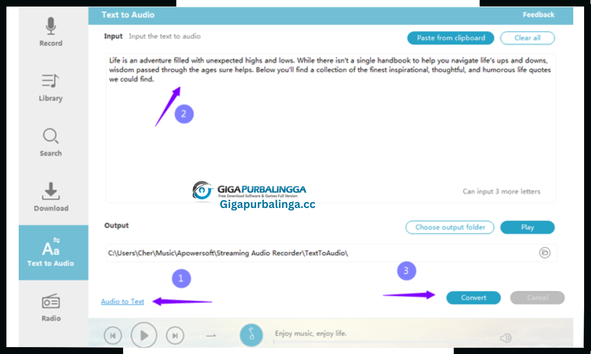 Apowersoft Streaming Audio Recorder Download