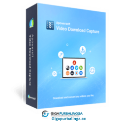 Apowersoft Video Download Capture