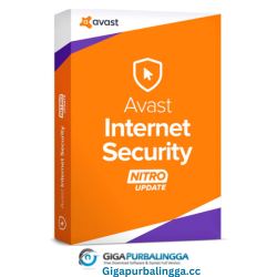 Avast Internet Security