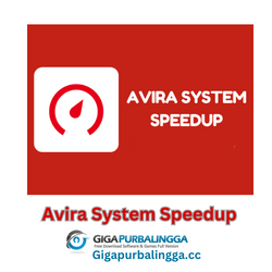 Avira System Speedup