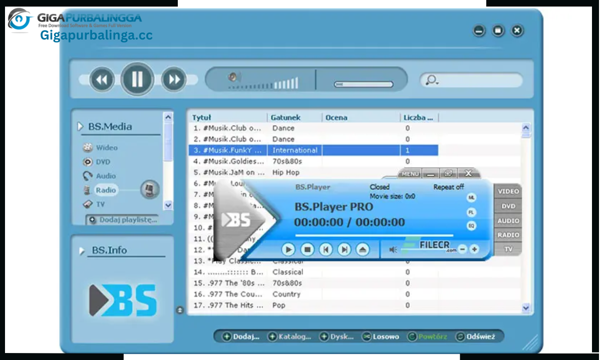 BS Player Pro download