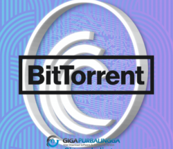 BitTorrent Plus