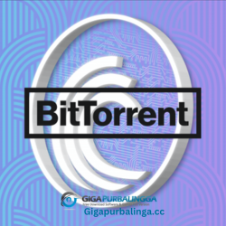 BitTorrent Plus