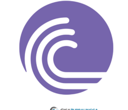 BitTorrent Pro