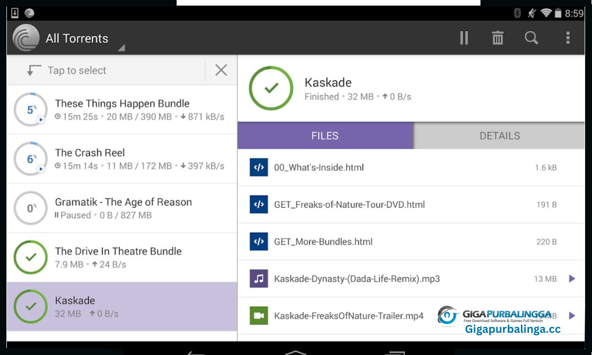 BitTorrent Pro Download