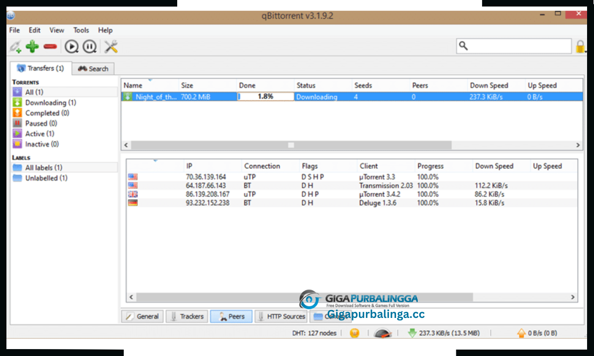 BitTorrent Pro Download