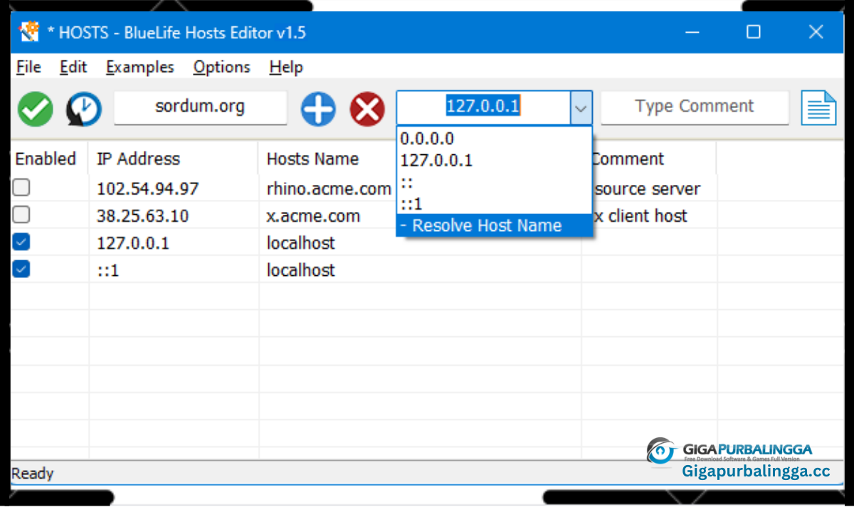 BlueLife Hosts Editor Download