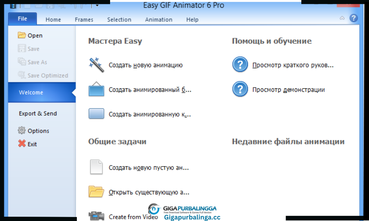 Blumentals Easy GIF Animator Pro Download
