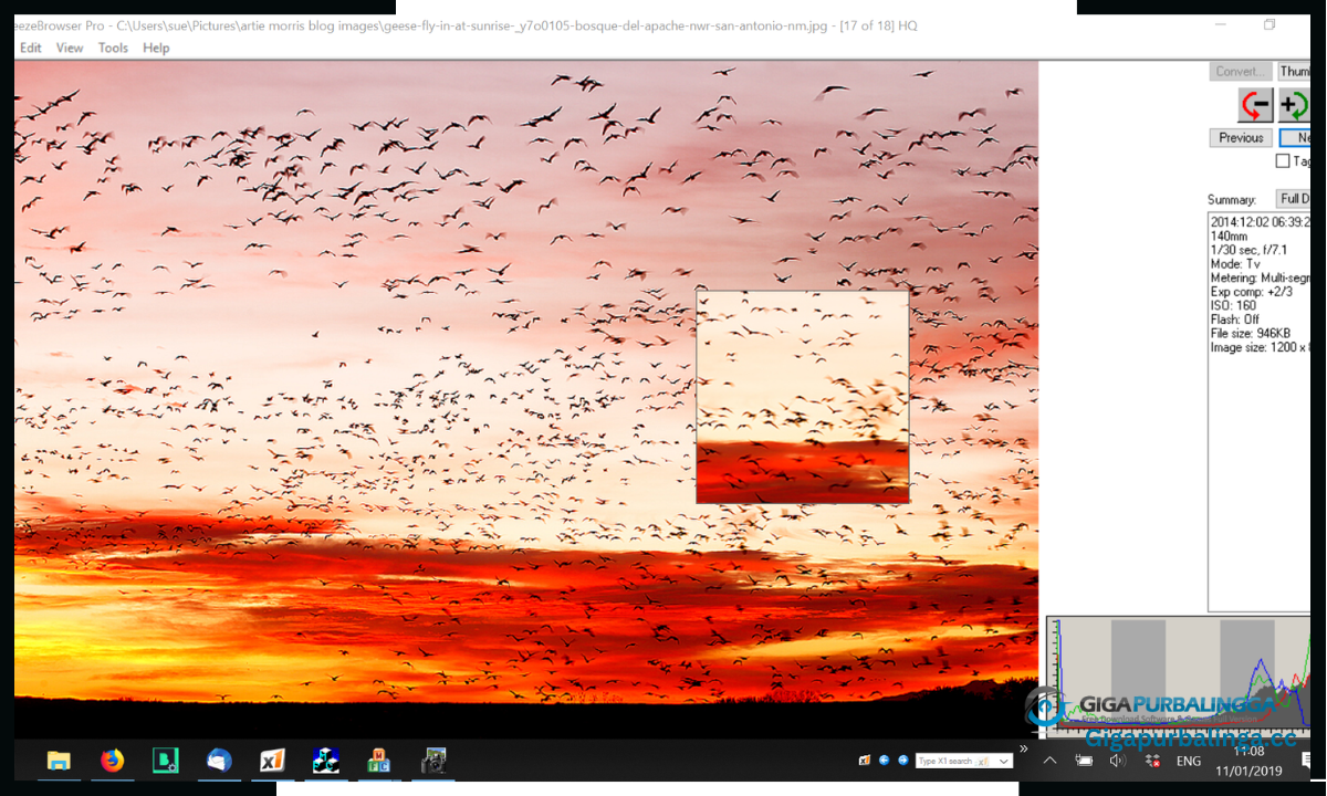 BreezeBrowser Download