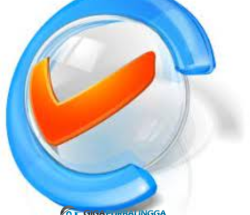 C-Organizer Professional