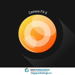 Camera FV-5 PRO APK