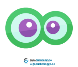 Camfrog Video Chat Download