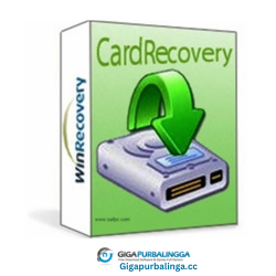 CardRecovery
