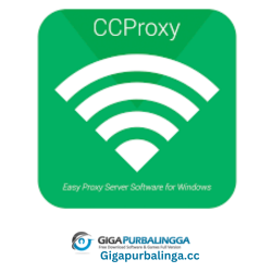 Ccproxy
