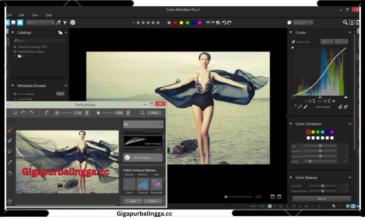 Corel Aftershot Pro Crack