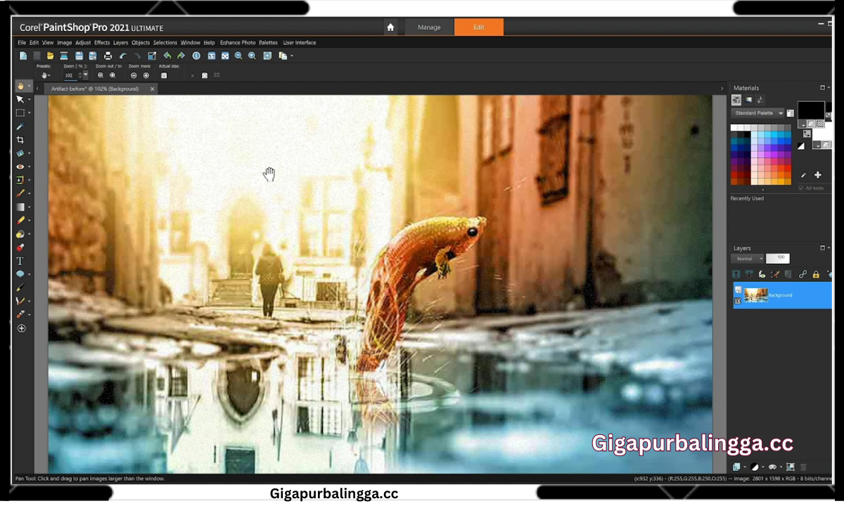 Corel Paint it Download
