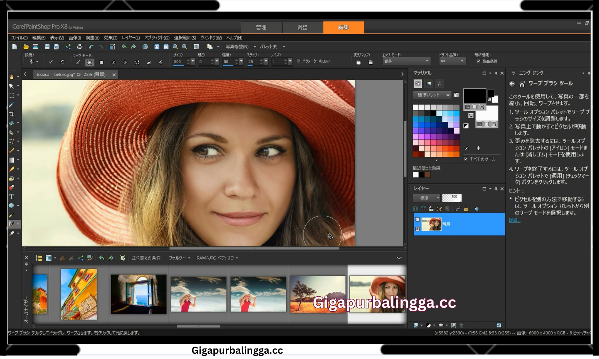 Corel PaintShop Crack
