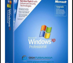 Crack Windows XP Professional SP3