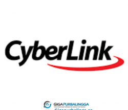 Cyberlink VideoMeeting Deluxe